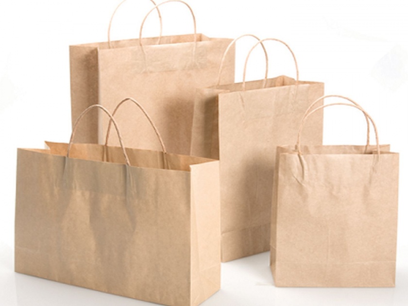 It's wrong to make more money from the carry bag! Expert opinion in the Customer Movement | कॅरी बॅगचे जास्त पैसे आकारणे चुकीचेच!; ग्राहक चळवळीतील तज्ज्ञांचे मत