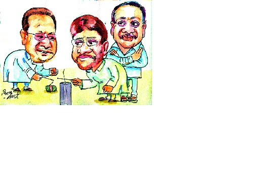  NCR's 'Swabhimani' attracts 'Rant' for drying of BJP | भाजपच्या पेरणीसाठी ‘रयत’ची नांगरट वाळवा तालुका : राष्ट्रवादीच्या हिरवळीची ‘स्वाभिमानी’ला भुरळ
