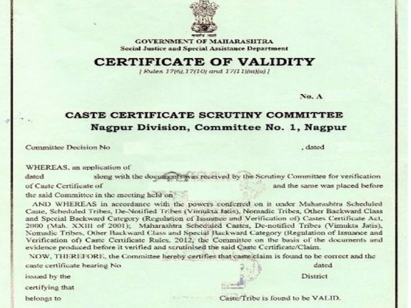 ‘Cast Validity’ is mandatory for vocational courses | व्यावसायिक अभ्यासक्रमासाठी ‘कास्ट व्हॅलिडिटी’ बंधनकारक