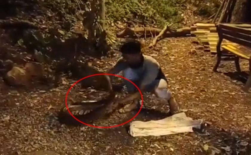 Video: Everyone will be scared to see a 7 feet big dragon, Sarpamitra did the rescue in thane | Video : 7 फूट भलामोठा अजगर पाहून सगळचे घाबरले, सर्पमित्राने केलं रेस्क्यू