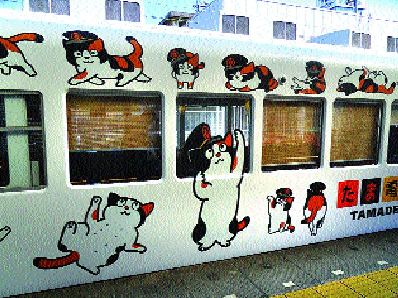  Special train for cats | मांजरांसाठी  खास रेल्वे  ​​​​​​​