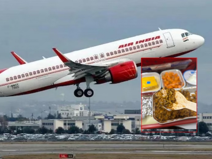 Lay chicken pieces in a vegetarian meal; Angry female passenger in flight, write on twitter | शाकाहारी जेवणात आढळले चिकन; महिला प्रवाशाचं ट्विट, एअर इंडियाचा रिप्लाय