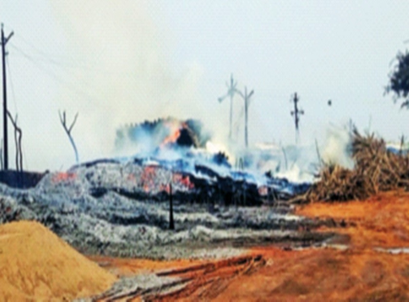 Twenty hours of fire, 30 crores of bamboo dust | वीस तास आग, ३० कोटींचा बांबू खाक