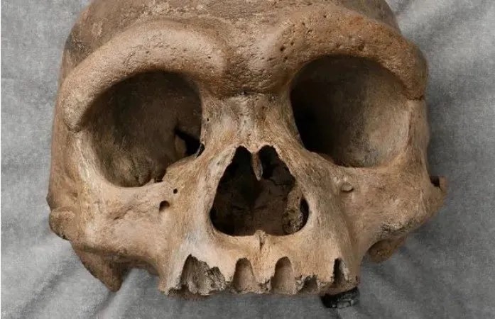 Guru's skull, bones in sadhvi's belongings pdc | साध्वीकडील सामानात गुरूंची कवटी, अस्थी