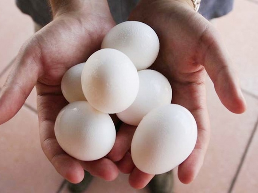 In Pakistan, eggs cost Rs 400 a dozen, chicken too; Citizens suffer from inflation | पाकिस्तानमध्ये अंडे ४०० रुपये डझन, चिकनही महागलं; महागाईने नागरिक त्रस्त