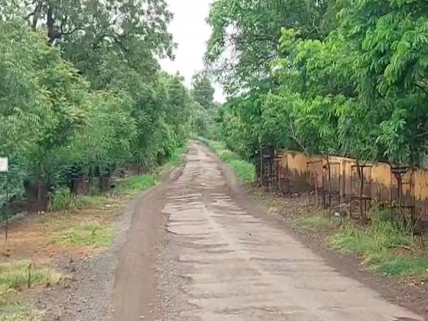 In Kopargaon trees were cut down on farm embankments; Complaint of old woman to police | कोपरगावात शेताच्या बांधावरील झाडे तोडली; वृद्ध महिलेची पोलिसात तक्रार