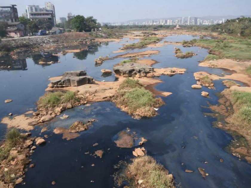 The stones in the Kasadi river basin changed colors; Possibility of harmful effects due to pollution in navi mumbai | कासाडी नदीपात्रातील दगडांचे रंग बदलले; प्रदूषणामुळे घातक परिणामांची शक्यता