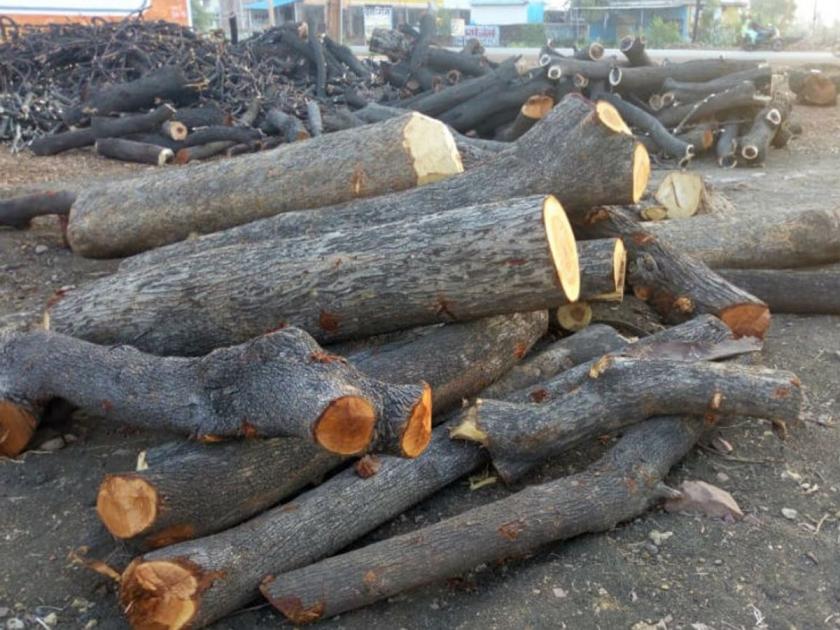 State GST raid on timber trader in Nagpur; Excitement among merchants | नागपुरमधील लाकूड व्यापाऱ्यावर राज्य जीएसटीचा छापा; व्यापाऱ्यांमध्ये खळबळ