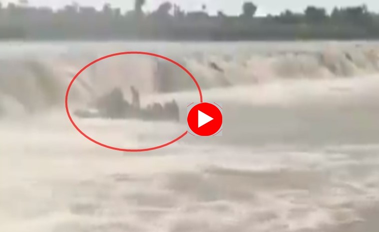 Video: kept rest was taken under a waterfall, video of Wardha river boat death incident viral | Video : वर्धा नदीतील दुर्घटनेपूर्वीचा व्हिडिओ समोर आला, धबधब्याखाली घेतला होता आडोसा