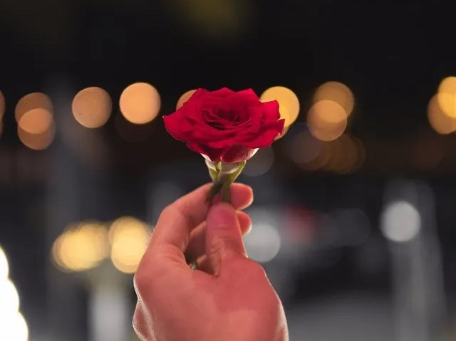 Give 4.5 Lakh Rose, Propose to Beloved One! | 4.5 लाखांचा गुलाब द्या, प्रिय व्यक्तीला प्रपोज करा!