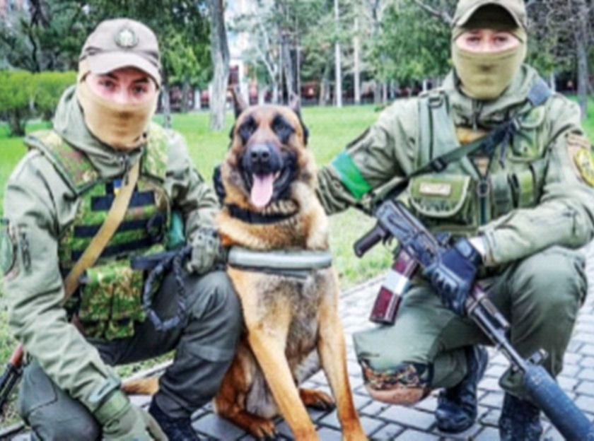 Russian army dog kills 'Palti', now helping Ukrainian soldiers | रशियन सैन्याच्या कुत्र्याने मारली ‘पलटी’, युक्रेनच्या सैनिकांची करतोय मदत