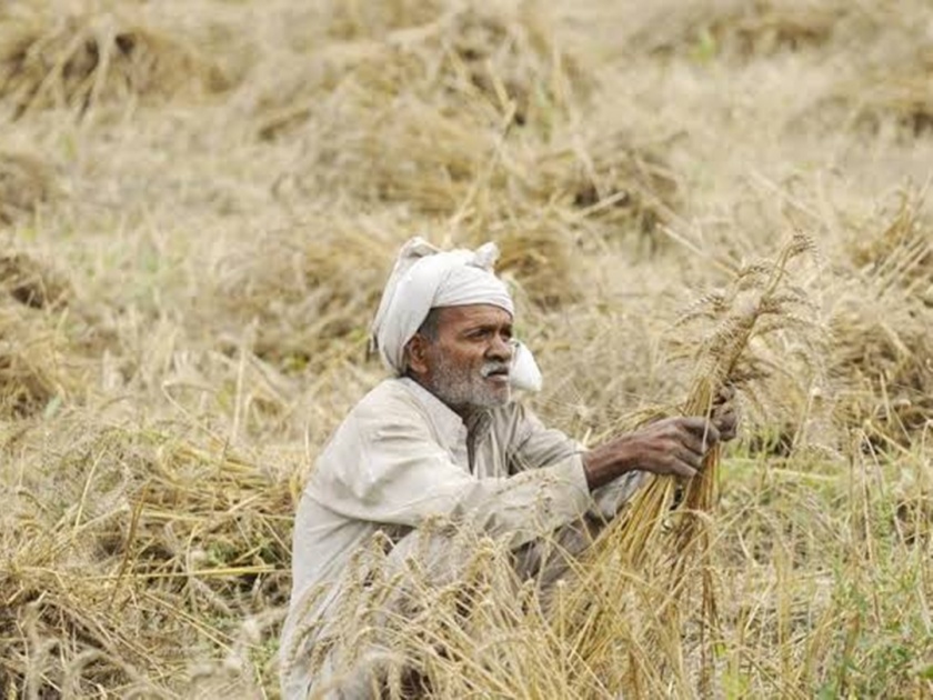 Farmers will get debt relief from shivsena, congress, ncp | सरसकट शेतकरी कर्जमाफीचा मार्ग होणार मोकळा ?
