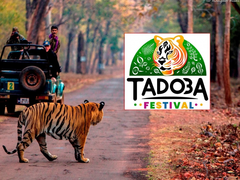 Tadoba festival in Chandrapur from today; Actress Hema Malini, Raveena Tandon will be there | चंद्रपुरात आजपासून ताडोबा महोत्सव; अभिनेत्री हेमामालिनी, रविना टंडन येणार