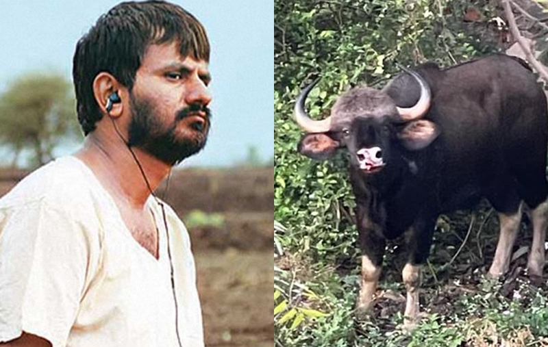 The director girish kulkarni of 'Bull' expressed his anger after the death of Rangavya | रानगव्याच्या मृत्यूनंतर 'वळू'च्या दिग्दर्शकानं व्यक्त केला संताप 
