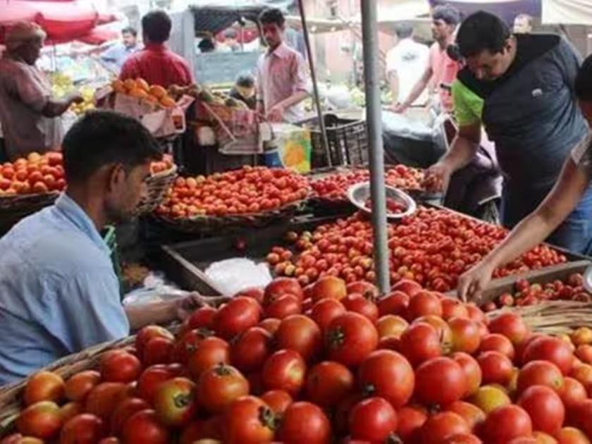 Why did tomatoes become expensive? The price increased but the farmers benefited | टोमॅटो महाग का झाला? भाव वाढला पण शेतकऱ्यांना होईना फायदा