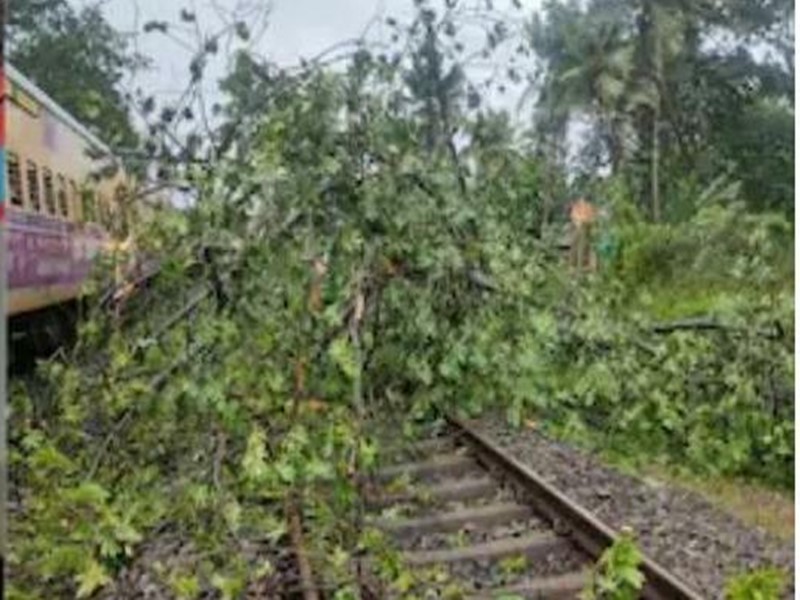 Cyclone hits Konkan railway, tree falls on track ratnagiri | चक्रीवादळाचा कोकण रेल्वेला फटका, ट्रॅकवर झाड कोसळले