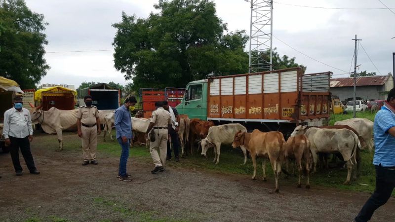 Life saving to 27 cattle being taken for slaughter | कत्तलीसाठी नेण्यात येत असलेल्या २७ गुरांना जीवनदान