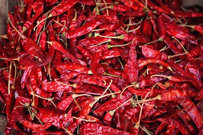 'Tadka' of red chillies in the pockets of common people | सर्वसामान्यांच्या खिशाला लाल मिरचीचा ‘तडका’