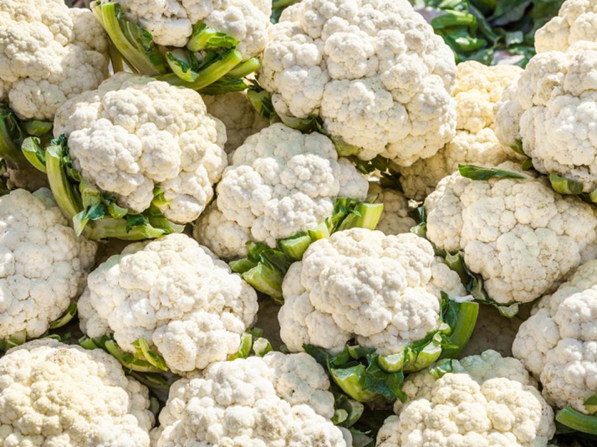 angry farmer mohammad saleem dumps 10 quintals of cauliflower on road | अवघ्या रुपयाचा भाव! दुःखी झालेल्या 'त्या' शेतकऱ्याने तब्बल 10 क्विंटल फ्लॉवर रस्त्यावर फेकून दिला अन्...