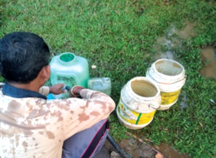 Water theft from Panvel Municipal Park | पनवेल महापालिकेच्या उद्यानातून पाण्याची चोरी