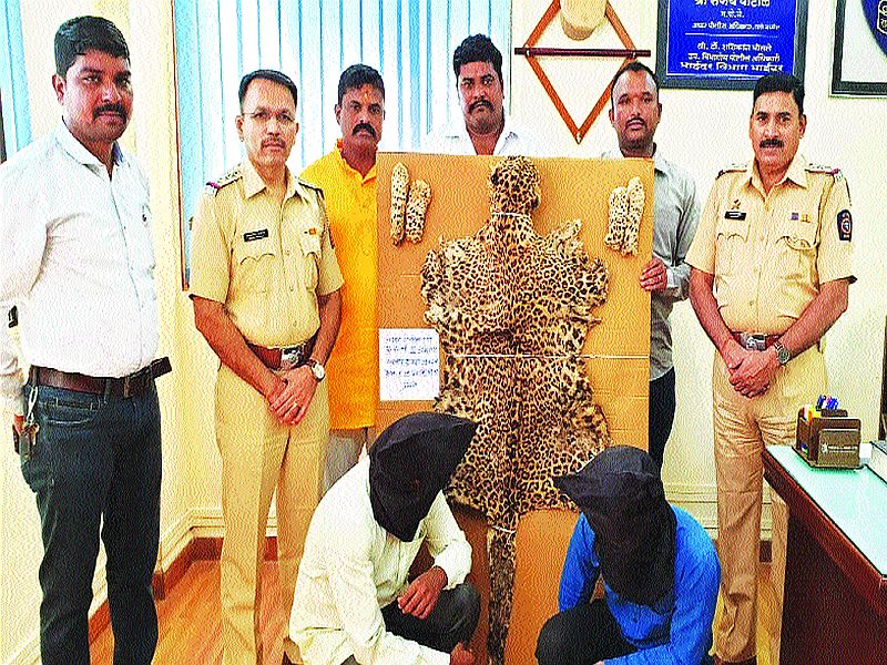 Police have arrested both men with leopards skin | बिबट्याच्या कातडीसह दोघांना केले गजाआड; दहा लाखांची किंमत