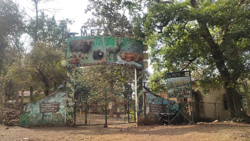 Melghat Tiger Reserve to be closed till next order amid covid-19 | मेळघाट व्याघ्र प्रकल्पातील पर्यटन ‘लॉकडाऊन’, विश्रामगृहांना टाळे