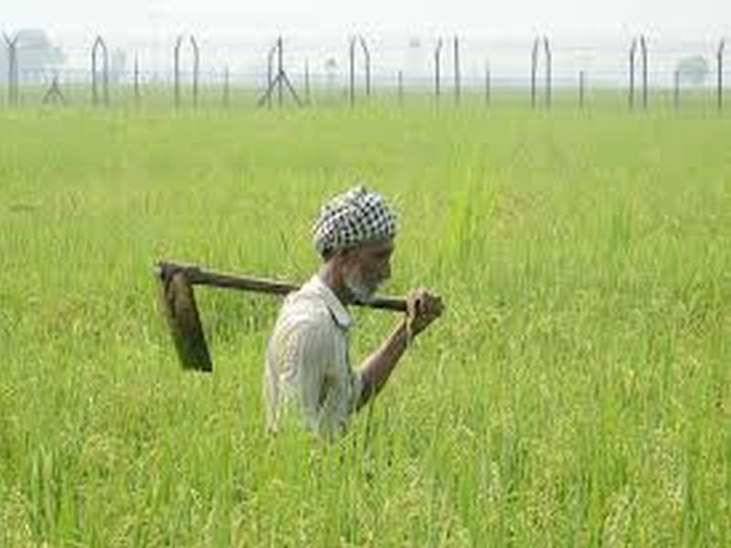  Banks ready to provide loans to farmers for kharif; Total debt of Rs 167 crore | शेतकऱ्यांना खरिपासाठी कर्जपुरवठ्यास बँका तयार; १६७ कोटींचे एकूण कर्ज