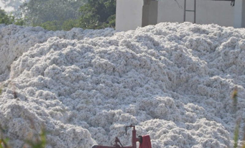 CCI will open more cotton procurement centers in the district | सीसीआय चे जिल्ह्यतआणखी कापूस खरेदी केंद्र सुरू होणार