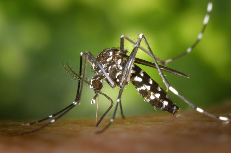 Caution, the number of dengue patients is increasing | सावधान, डेंग्यू रुग्णांचे प्रमाण वाढत आहे