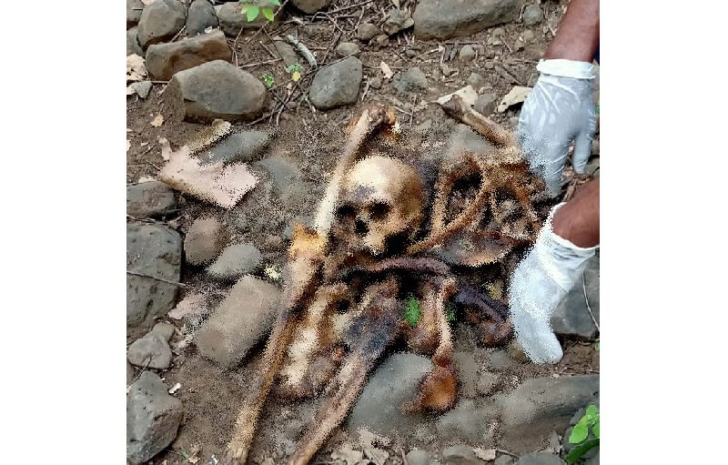 Skeleton found in Somalgad forest | सोमलगड जंगलात सापडला मानवी हाडांचा सांगाडा