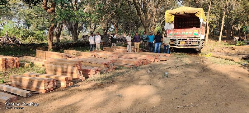 worth 25 lakhs of teak wood and truck seized by police for illegal transport | सागवान लाकडाची अवैध वाहतूक पकडली; २५ लाखांचा मुद्देमाल जप्त