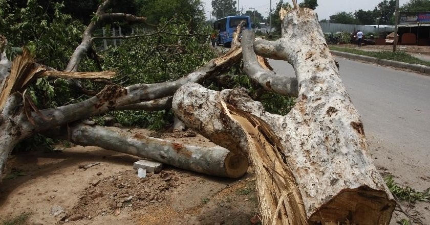 Storm hits Bengal and Delhi; Eight dead, 22 injured | बंगाल, दिल्लीला वादळाचा तडाखा; आठ ठार, २२ जखमी
