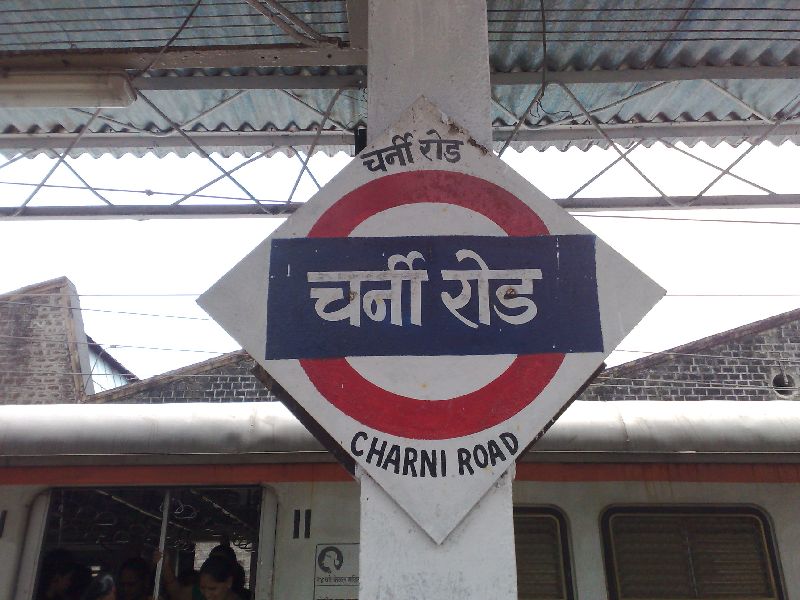 The journey of Mumbaikar to Chhurni road station, with the help of the animals, | चर्नी रोड स्थानकात पुलाला तडे, जीव मुठीत घेऊन मुंबईकरांचा प्रवास