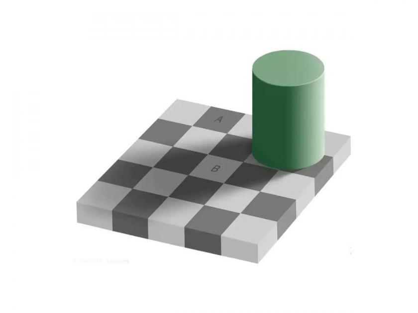 optical illusion black and white square looks similar | वरकरणी दिसतात पांढऱ्या अन् काळ्या रंगाचे चौकोन पण नीट पाहताच सर्वांचा रंग सेम टु सेम