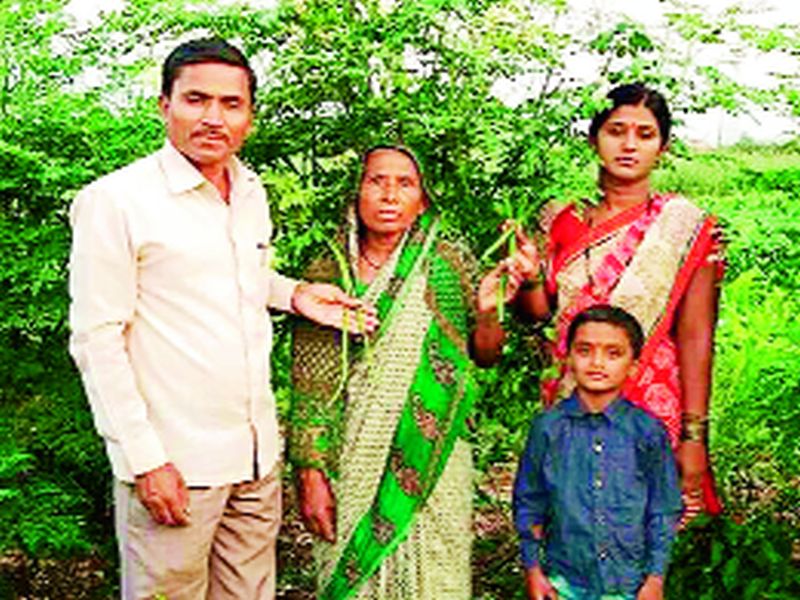 farmer earns lakhs of rupees from poison free farming | विषमुक्त शेतीतून घेतले लाखोंचे उत्पन्न