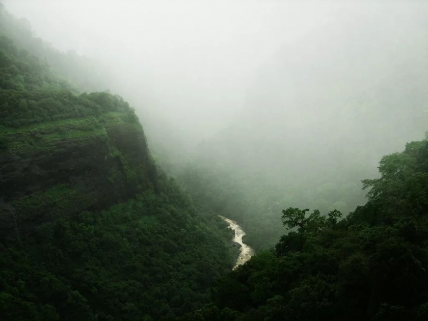 In a moment there was a thick fog, wet and muddy; It rained heavily in the paradise of Vidarbha | क्षणात आले दाट धुके, ओलेचिंब झाले चिखलदरा; विदर्भाच्या नंदनवनात दमदार बरसला पाऊस