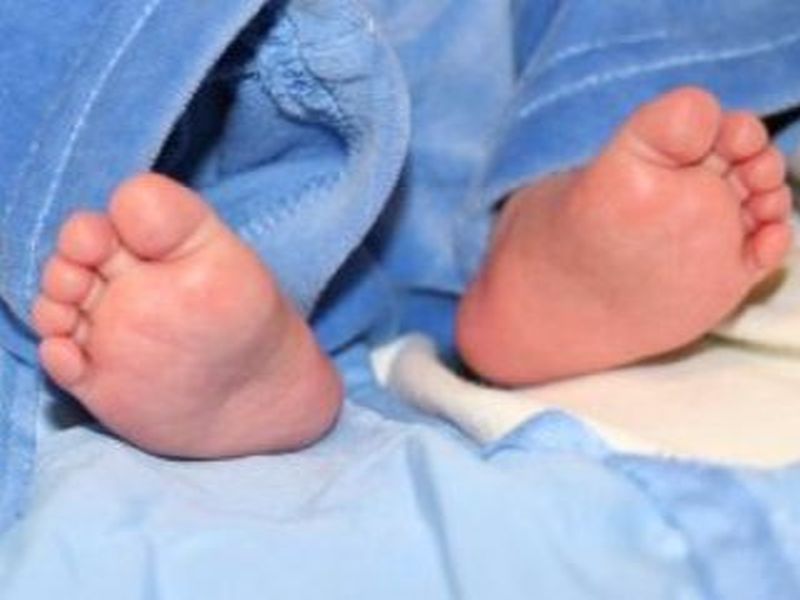 An infant found in a sigh, an incident in Solapur | उकिरड्यात आढळले जिवंत अर्भक, सोलापूरातील घटना