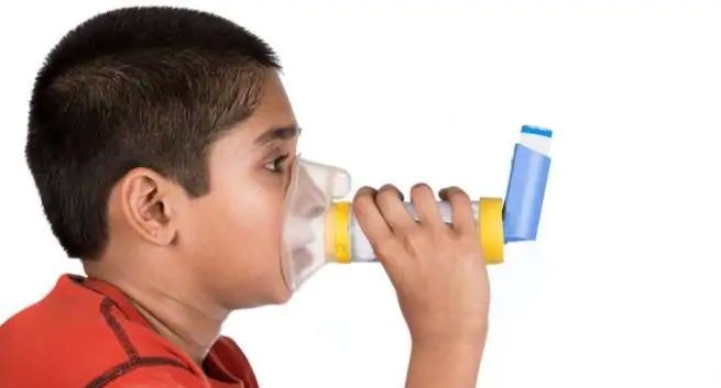 A five percent increase in asthma pediatric patients every year | अस्थमाच्या बाल रुग्णांमध्ये दरवर्षी पाच टक्क्याने वाढ