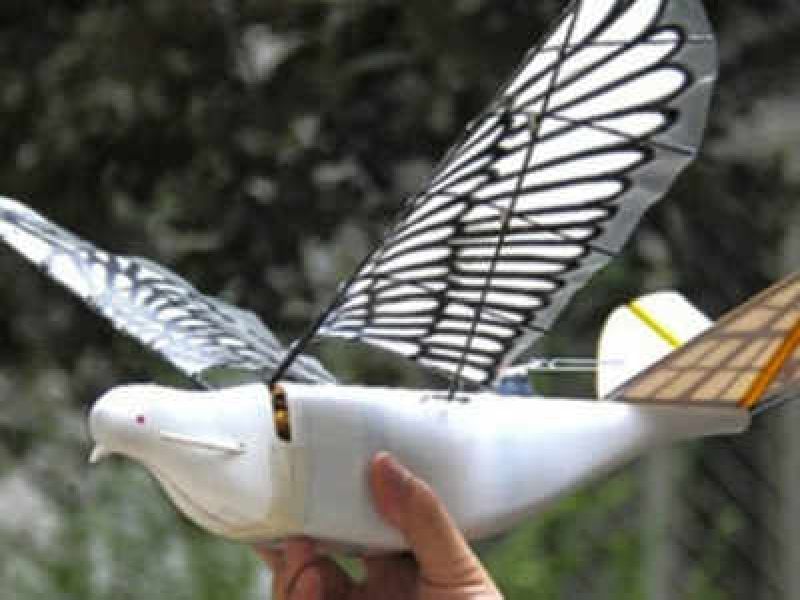 China's new spy bird drone News | चीनच्या गुप्तहेर चिमण्यांनी वाढवली भारताची चिंता  