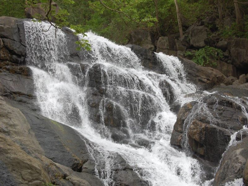 40 get stuck at Vasai’s Chinchoti waterfall, rescue operation underway | वसईतील चिंचोटी धबधब्यावर अडकलेल्या 106 पर्यटकांची सुटका