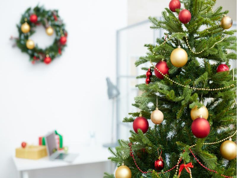 Christmas 2018: Interesting facts you need to know about Christmas tree | Christmas 2018: जाणून घ्या ख्रिसमस ट्रीबाबत रोमांचक गोष्टी, कशी झाली सुरुवात?