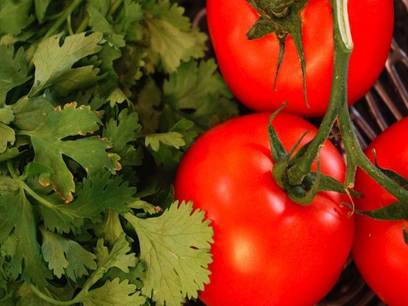 In vakod cilantro 200 and Tomato 90 kg | वाकोदच्या भाजी बाजारात कोथिंबीर २०० तर टोमॅटो ९० रुपये किलो
