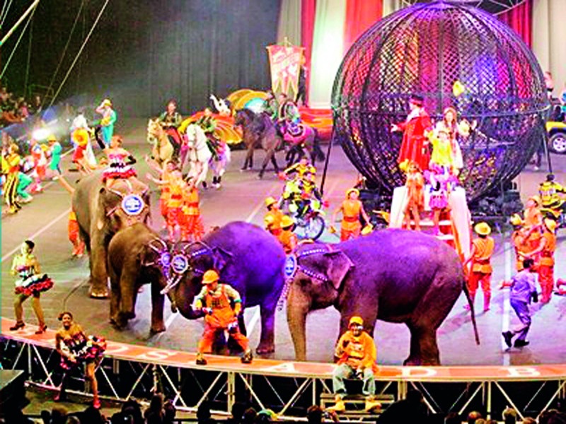 Birthday of Indian Circus | जन्मदिन भारतीय सर्कसचा 