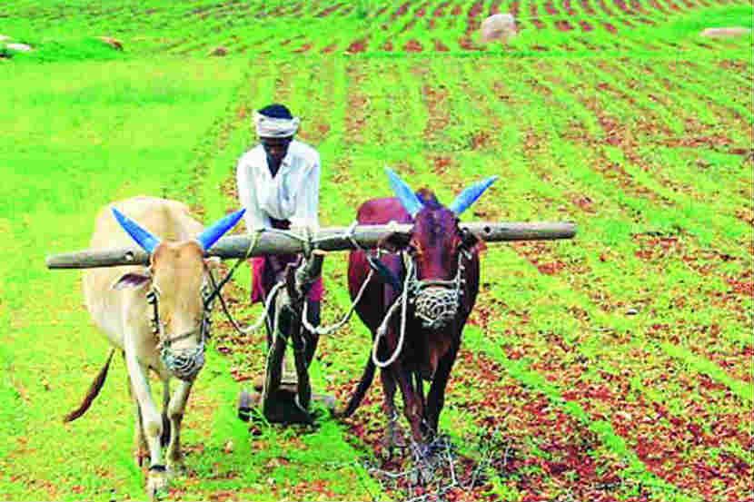 The agricultural sector will continue to grow in the current year, with the demand for fertilizers for kharif likely to increase | चालू वर्षातही कृषी क्षेत्राची वाढ राहणार कायम, खरिपासाठी खतांची मागणी वाढण्याची शक्यता