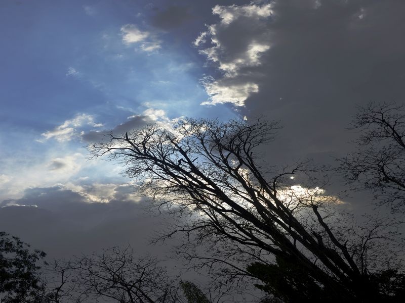 Hailstorm north of Vidarbha? Forecasting of Meteorologists, Chance of Rain in South India | विदर्भातील उत्तर भागात गारपीट? हवामानतज्ज्ञांचा अंदाज, दक्षिण भारतात पावसाची शक्यता