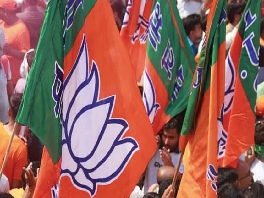 BJP's victory in Gram Panchayat elections in Nagpur district, shock to NCP in Anil Deshmukh's constituency | नागपूर जिल्ह्यात ग्रामपंचायतींच्या निवडणुकीत भाजपाची मुसंडी, अनिल देशमुखांच्या मतदार संघात राष्ट्रवादीला धक्का 