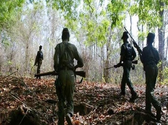 A woman Naxalite along with a platoon commander was killed in Gadchiroli | प्लाटून कमांडरसह एक महिला नक्षलवादी ठार, घातपाताचा डाव उधळला; जंगलात चकमक 
