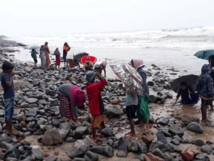 Gold particles are coming ashore from the sea in Uppada village of Andhra! | समुद्रकिनारी चक्क सोन्याचे कण सापडले; गावकऱ्यांची पळापळ, सरकारी अधिकारीही सरसावले