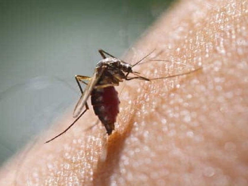 Dengue now plagues Delhiites along with Corona; The stress on the system increased | कोरोनासोबत दिल्लीकरांवर आता डेंग्यूचे सावट; यंत्रणेवरील ताण वाढला
