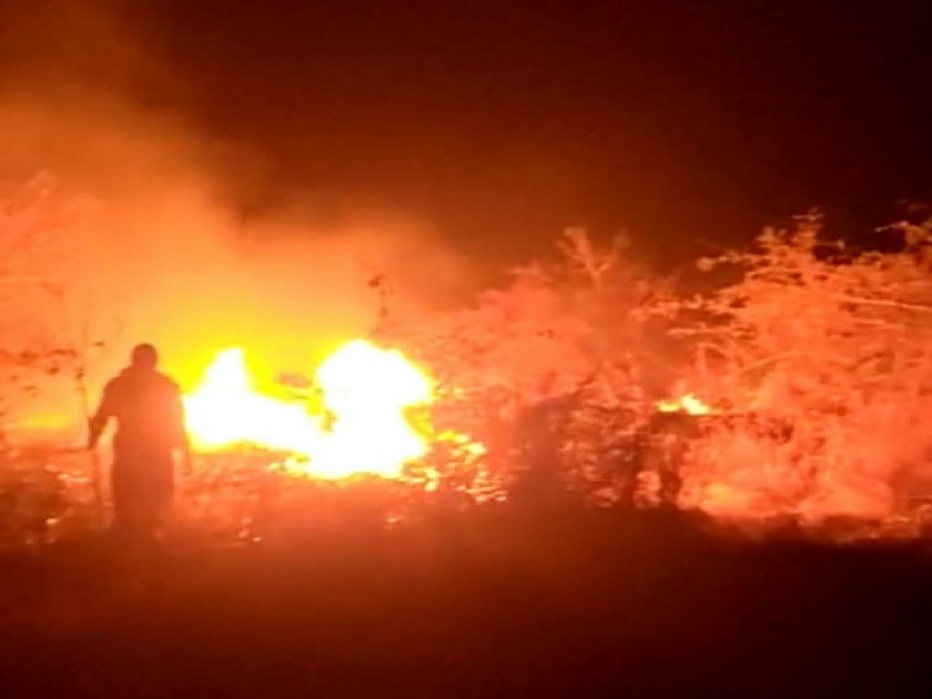 Forest fire on Shirsoli road near Jalgaon city; Firefighters at the scene | जळगाव शहरानजीक शिरसोली रस्त्यावर जंगलात आग; अग्निशमन दल घटनास्थळी